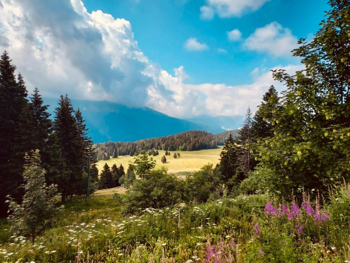 Charmant Appartement Confortable Pour 6 Personnes 40M2 Pied Pistes, Piscine, Wifi, Parking Chamrousse Dış mekan fotoğraf